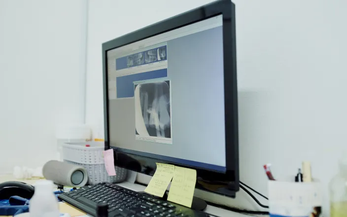 img long term data retention 2x